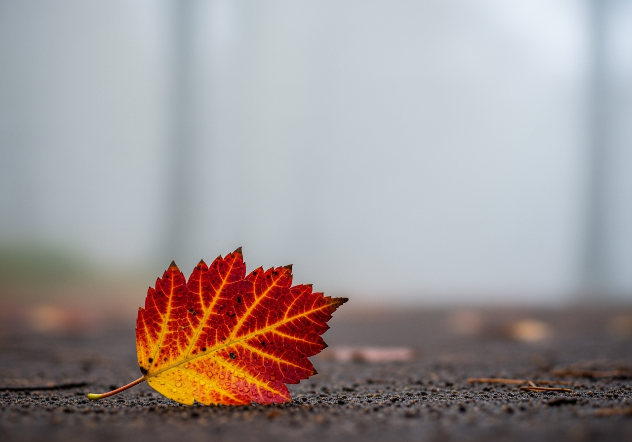 A close-up photo of a leaf is expanded by AI to create an artistic, minimalist composition with lots of negative space.