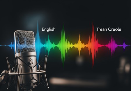 영어-아이티 크레올어 음성 번역