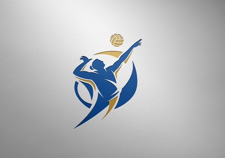 배구 로고 생성기