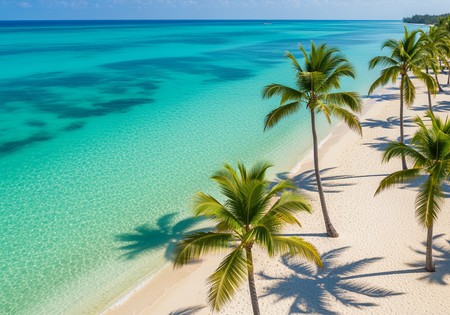 여름 배경화면 생성기