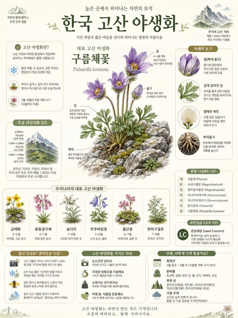 AI-generated High-quality Vertical Korean Science Encyclopedia Infographic Poster on the Theme of made with GPT Image 2