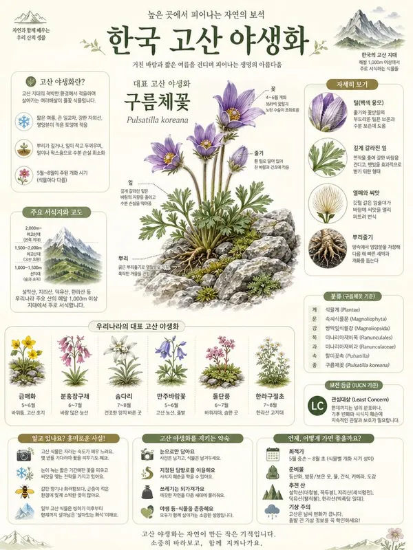 GPT 이미지 2로 생성한 과학 백과사전 세로 포스터
