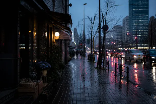 AI-generated Rainy Seoul Street Photo made with GPT Image 2