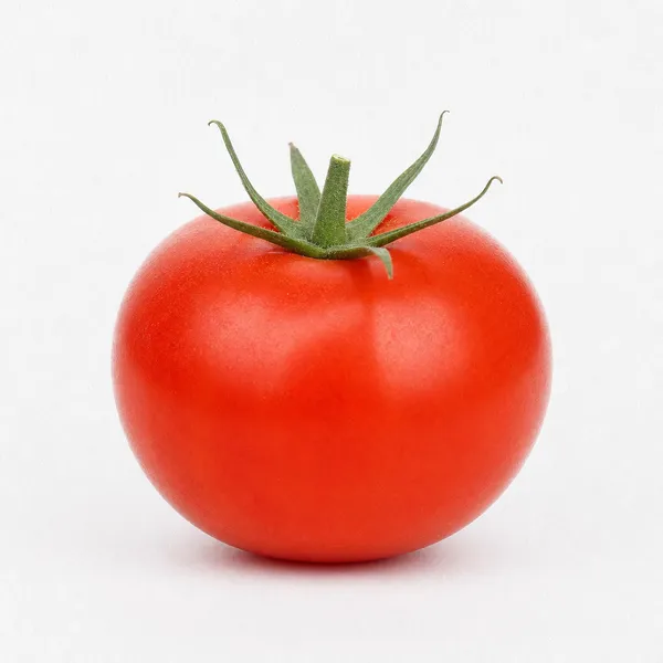 GPT 이미지 2로 생성한 토마토 일러스트