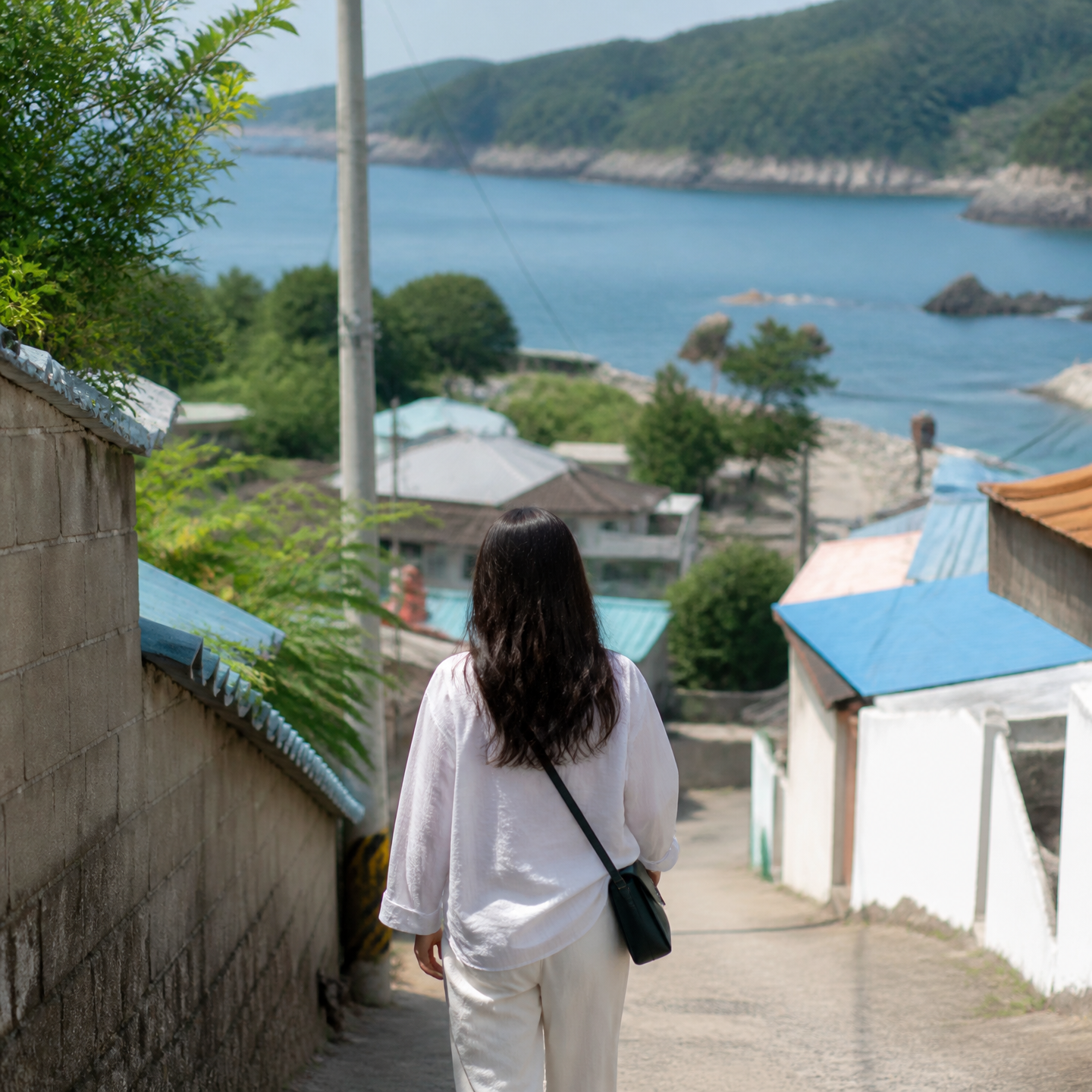 GPT 이미지 2로 생성한 독도 카드뉴스