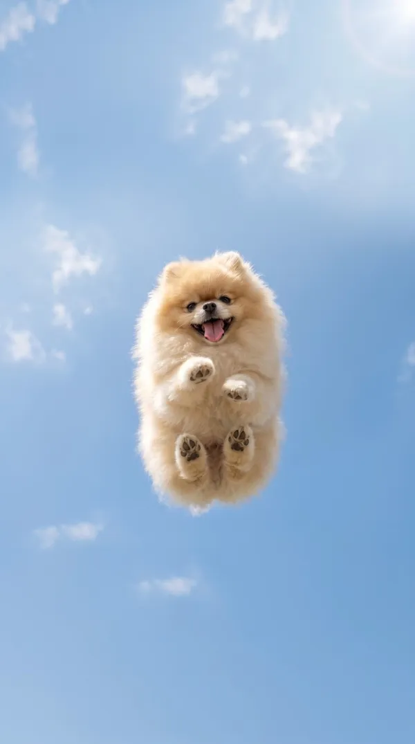 AI-generated Dog Sky Photo