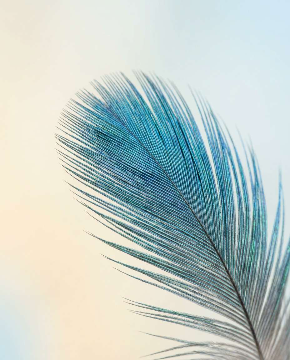 AI-generated Feather Micro Pattern made with Nano Banana Pro