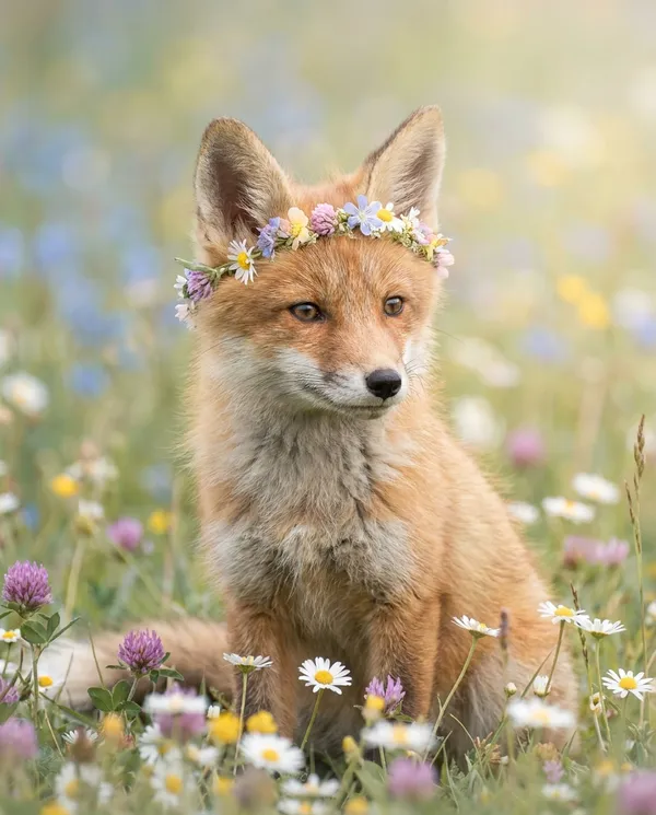 AI-generated Baby Fox with a Flower Crown made with Nano Banana Pro